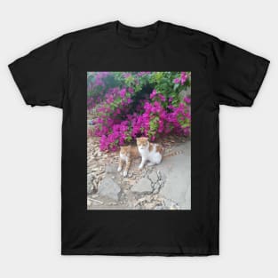 Cats sitting in flowers at street T-Shirt